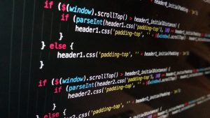 Junior Java Developer